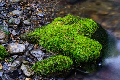 Emotionelle Erste Hilfe - Eltern-Kind-Bindung